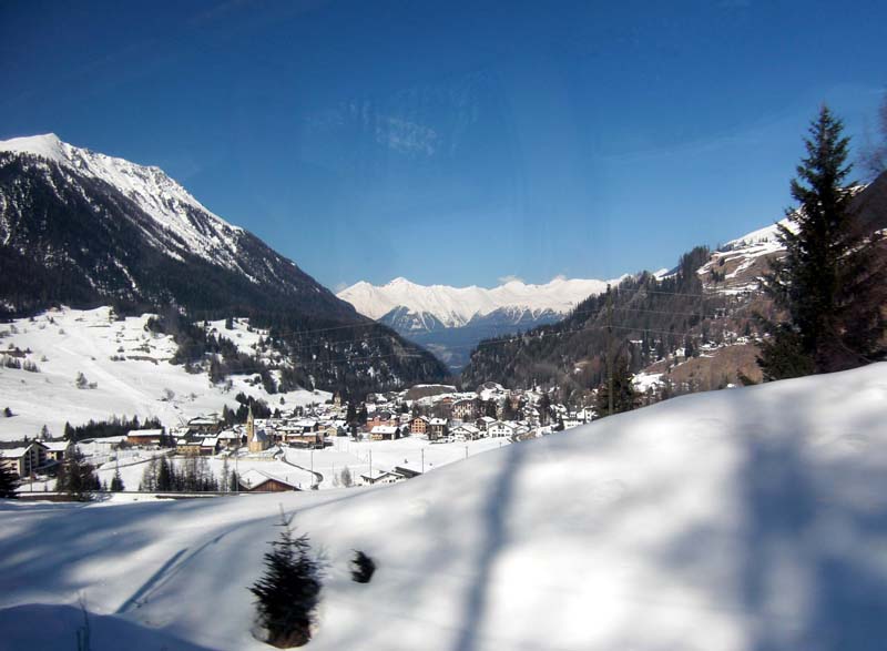 Albula