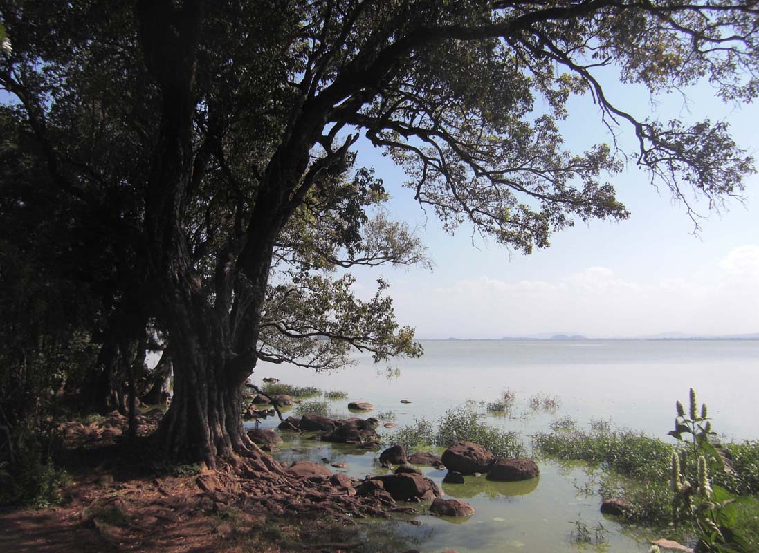 Lake Tana