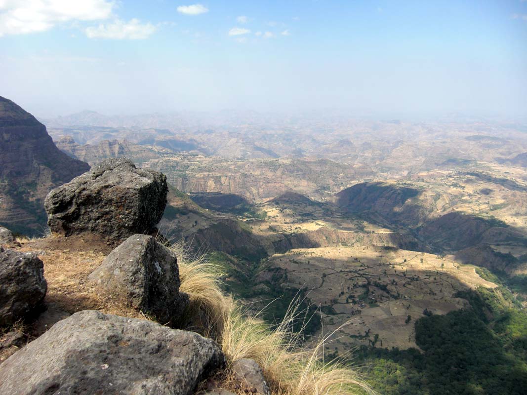 Simien