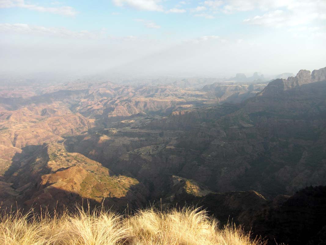 Simien