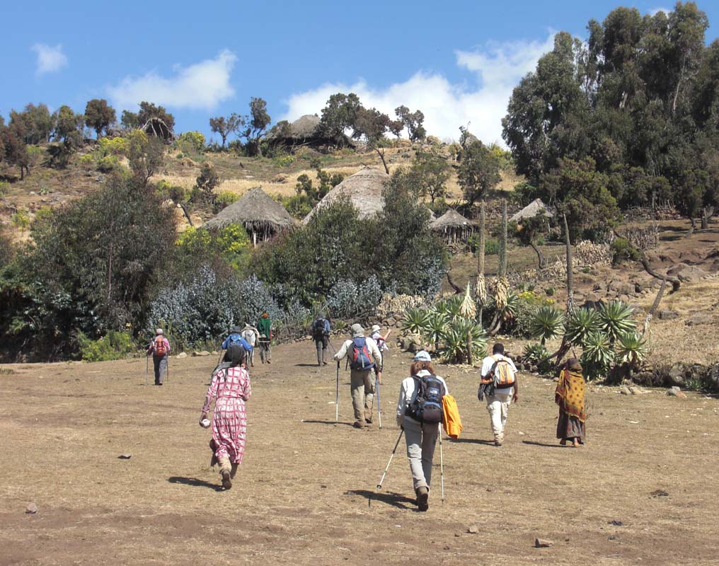 Simien