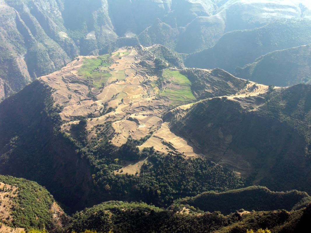 Simien