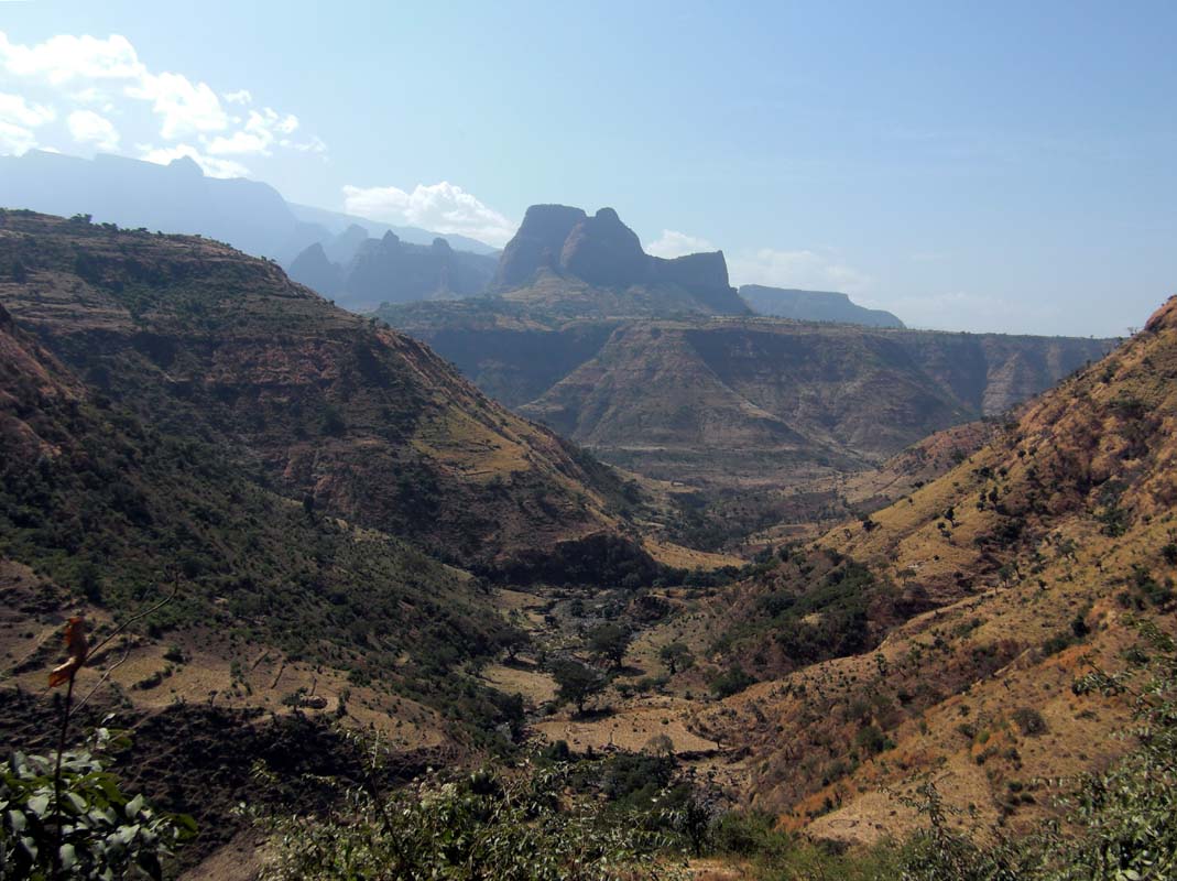 Simien