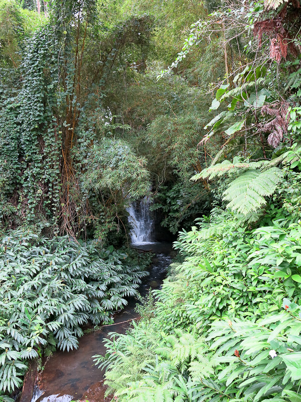 Akaka Falls