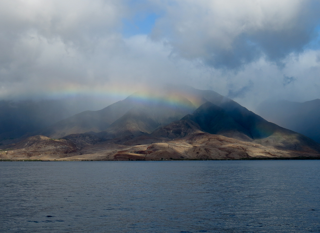 Kste bei Lahaina