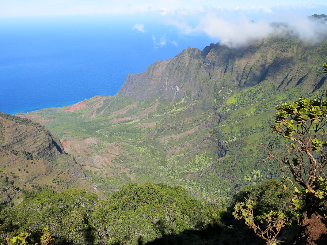 Kalalau Outlook