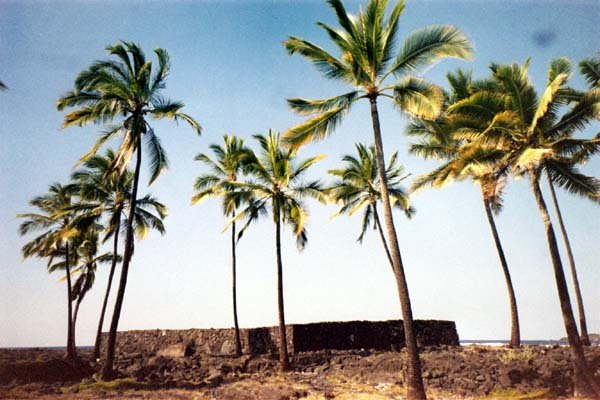 Puuhonua o Honaunau 