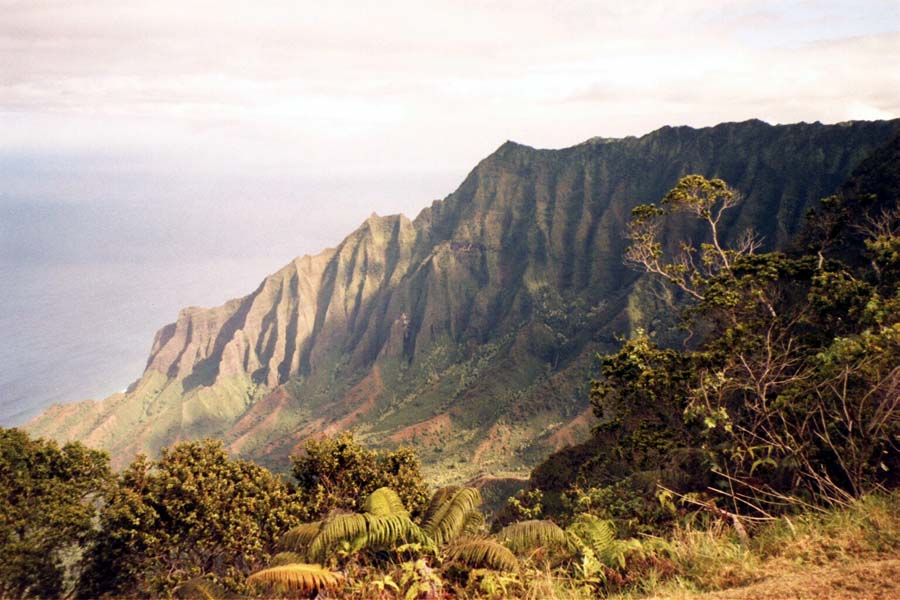 Blick hinab auf die Napali-Kste