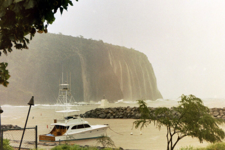 Regen auf Lanai