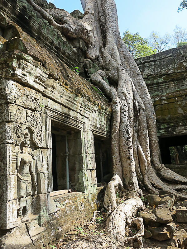 Ta Prohm