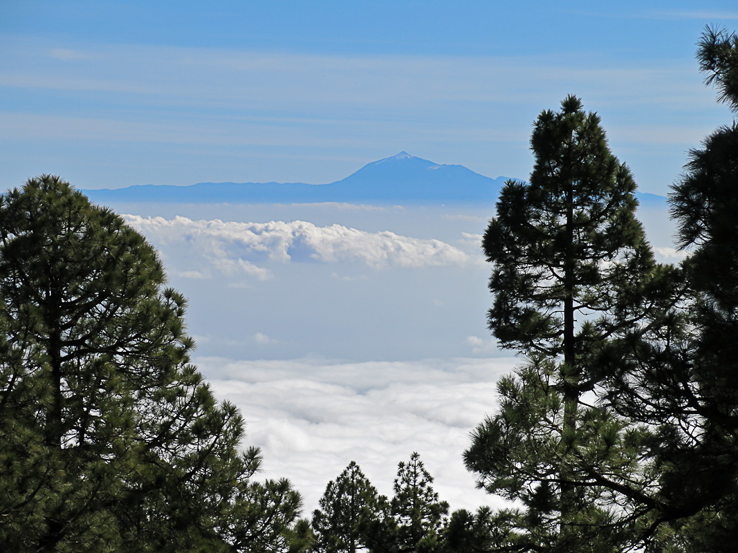 Pico de la Nieve