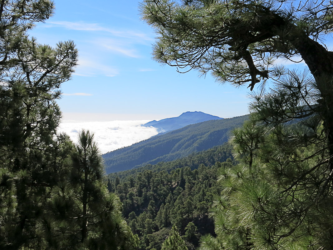 Pico de la Nieve