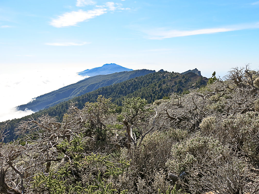 Pico de la Nieve