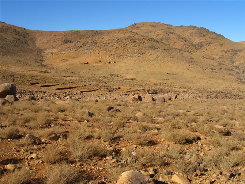 Djebel Saghro