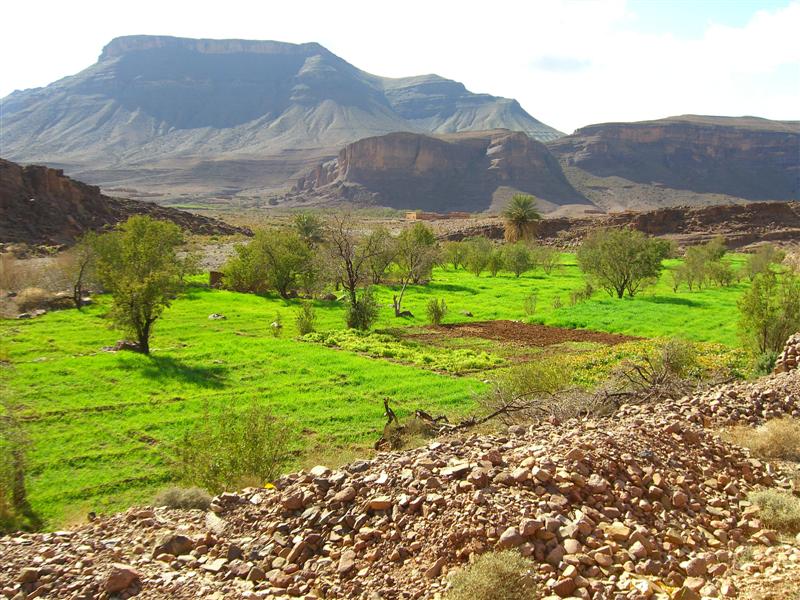 Djebel Saghro