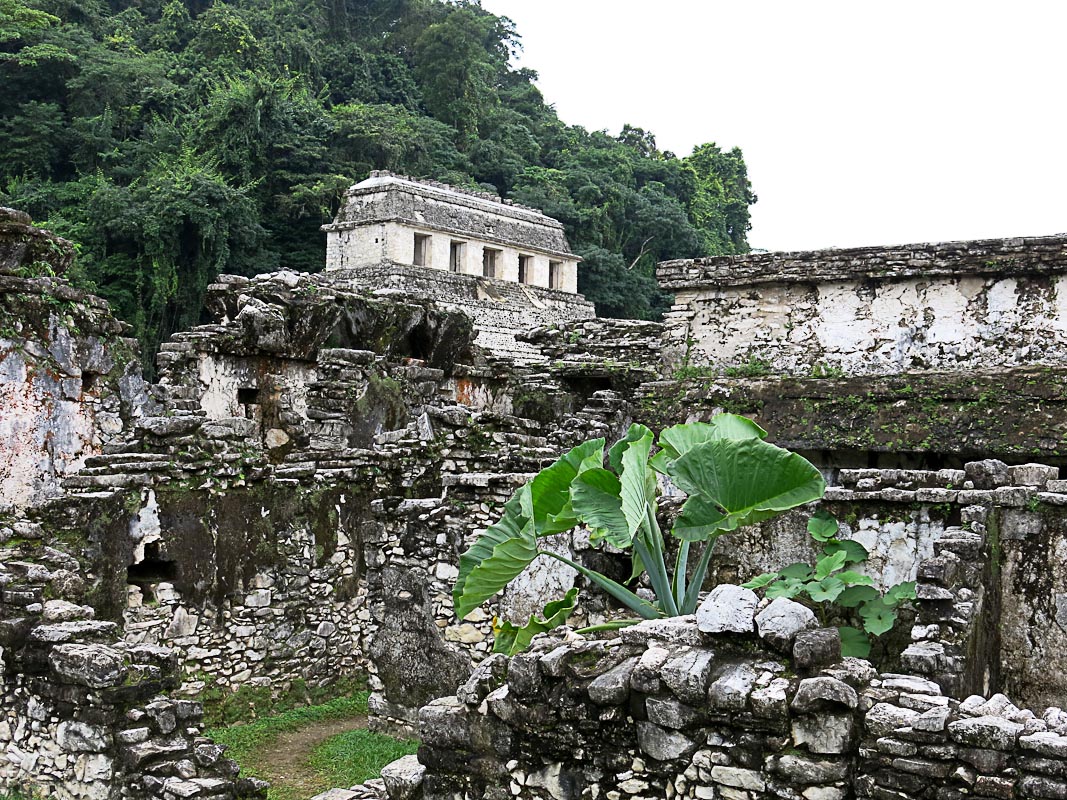 Palenque