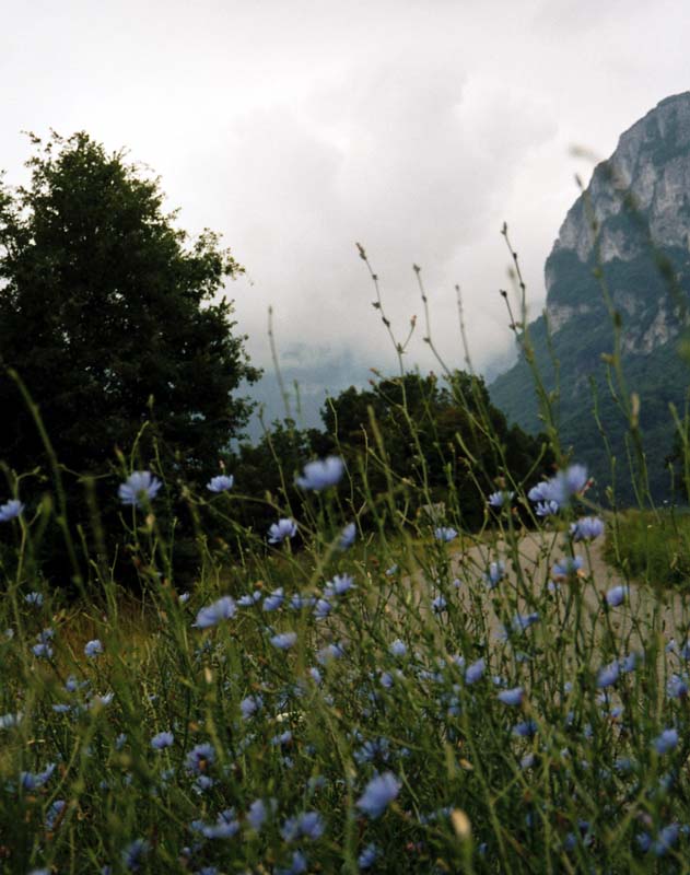 Abschied in Wolken