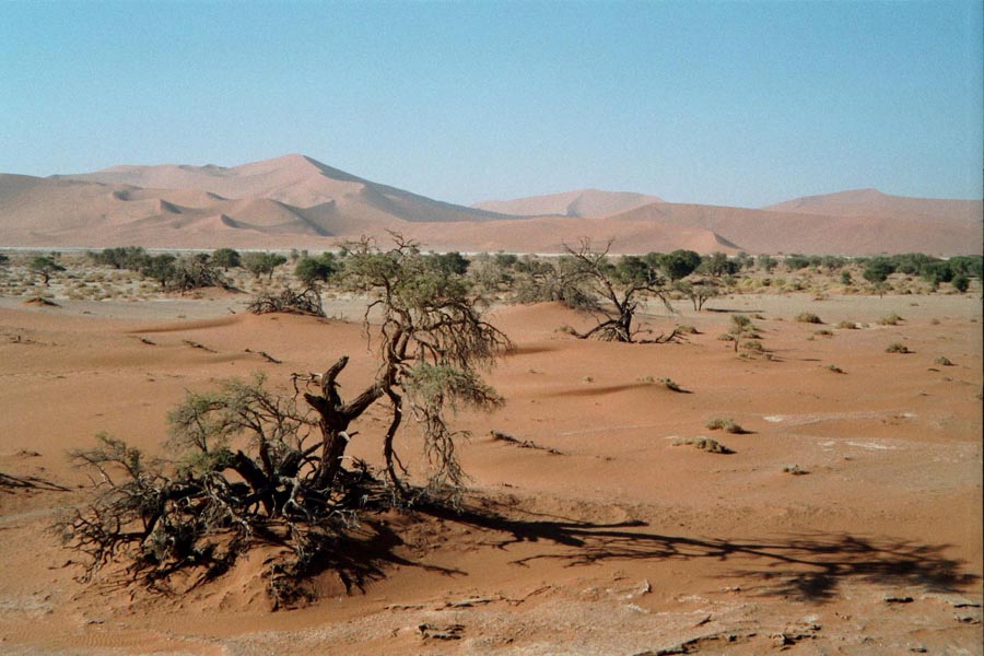 Sossusvlei