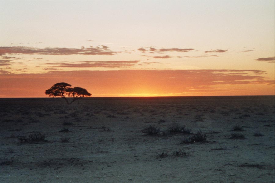 Etosha