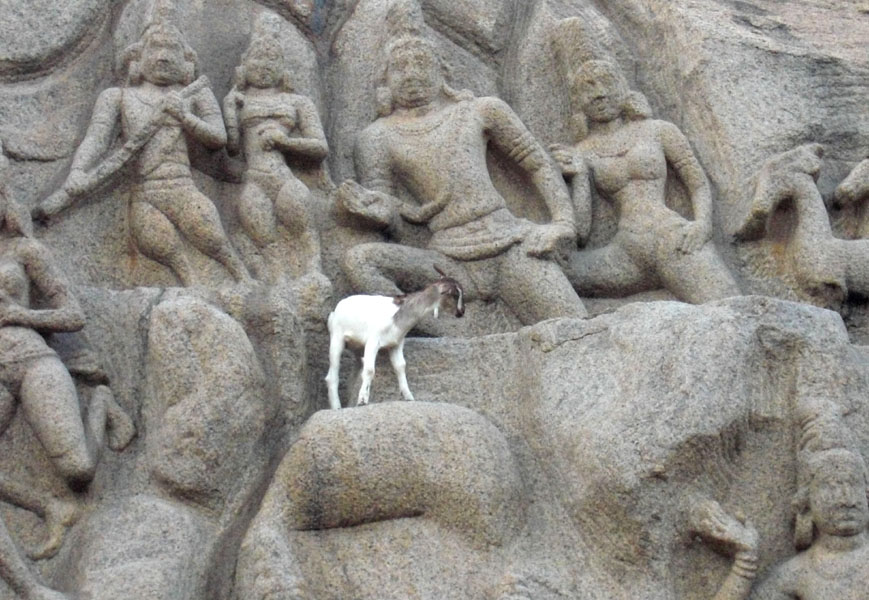 Mahabalipuram Relief