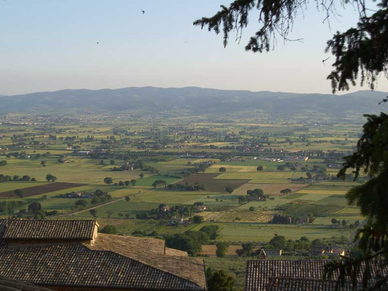 Assisi