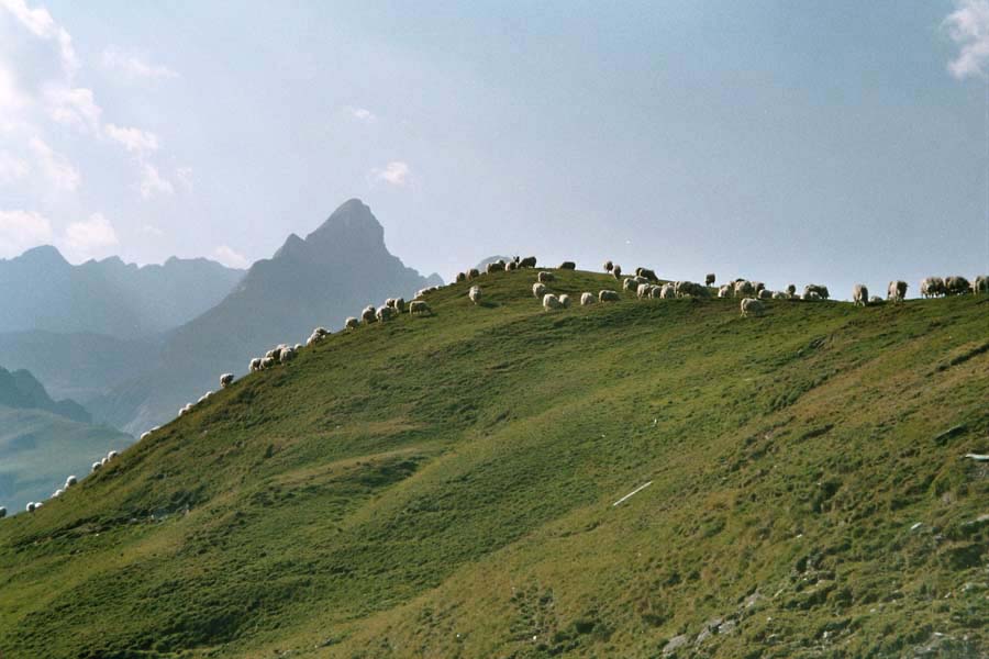 Col d'Aubisque