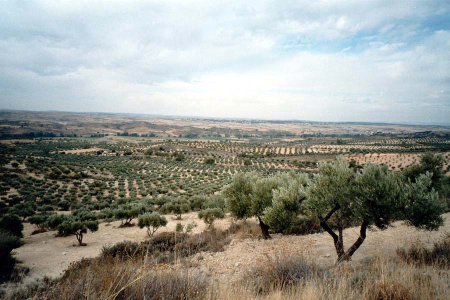 Kastilien La Mancha