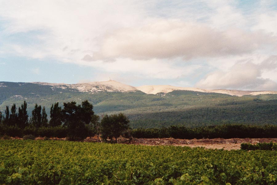 Blick auf den Mont Ventoux bei Bedoin