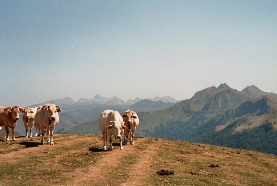 Col de Larrau - Passhhe