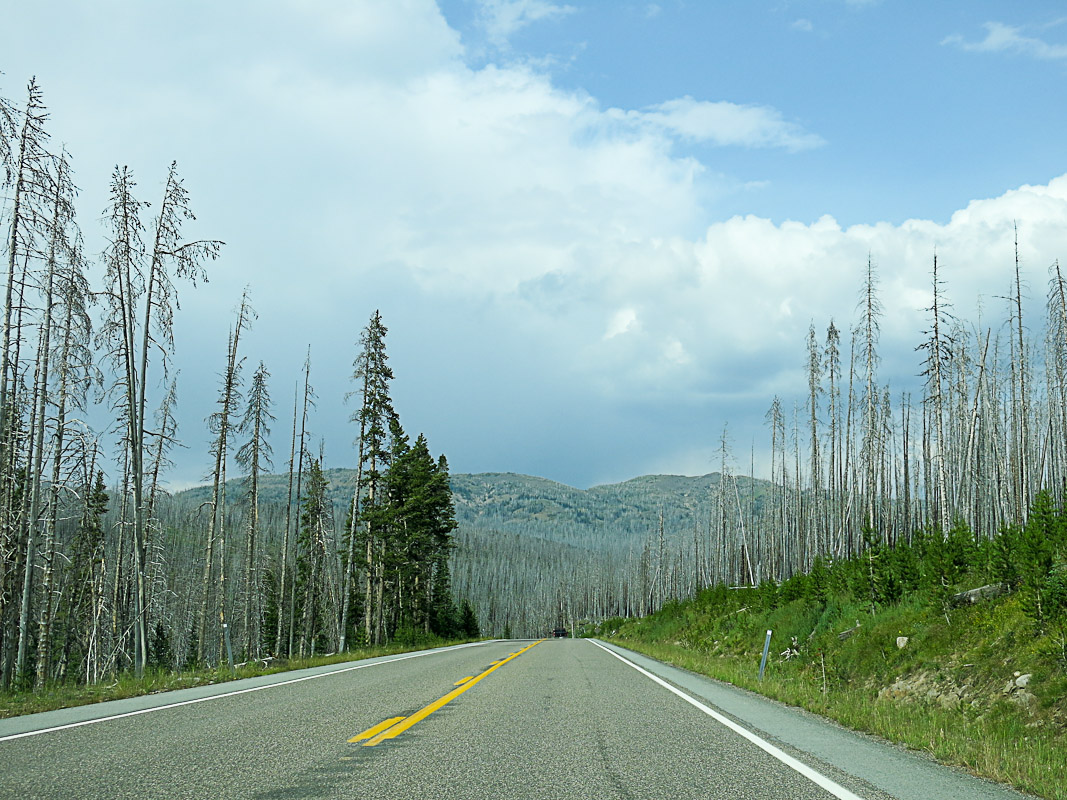 Yellowstone