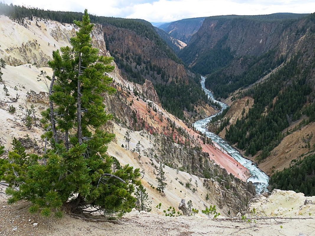 Yellowstone Canyon