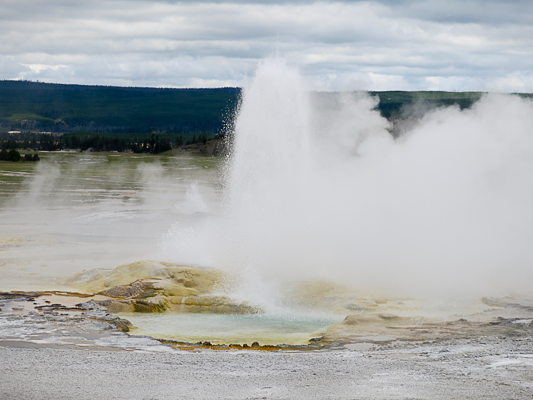 Yellowstone