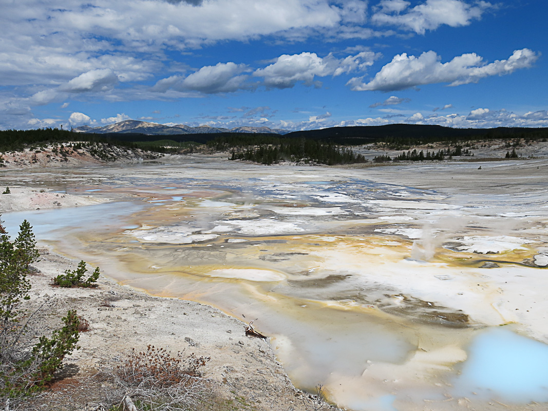 Yellowstone Norris Geysir Bassin