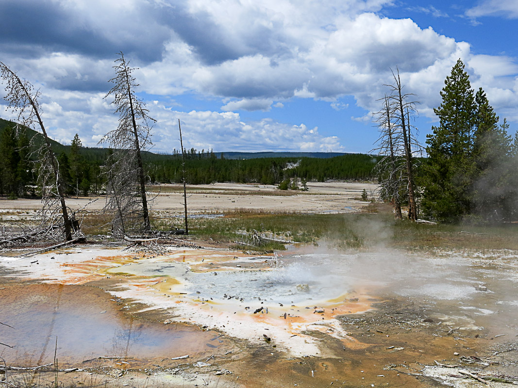 Yellowstone Norris Geysir Bassin