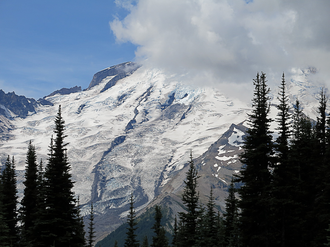 Mount Rainier National Park