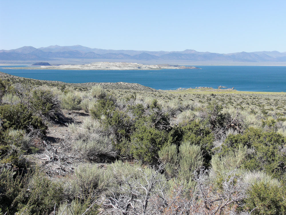 Mono Lake