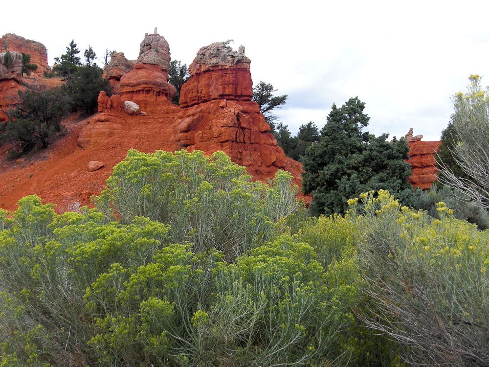 Red Canyon