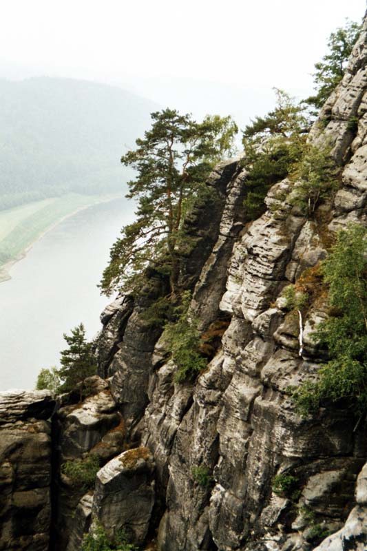 Bastei im Elbsandsteingebirge, Blick hinab zur Elbe