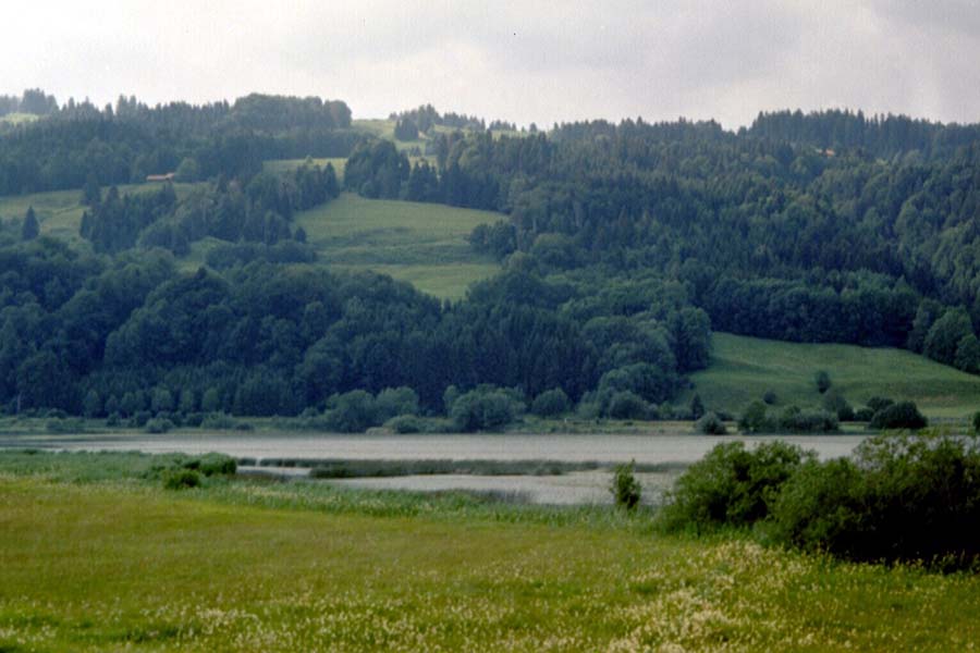 Albsee bei Immenstadt