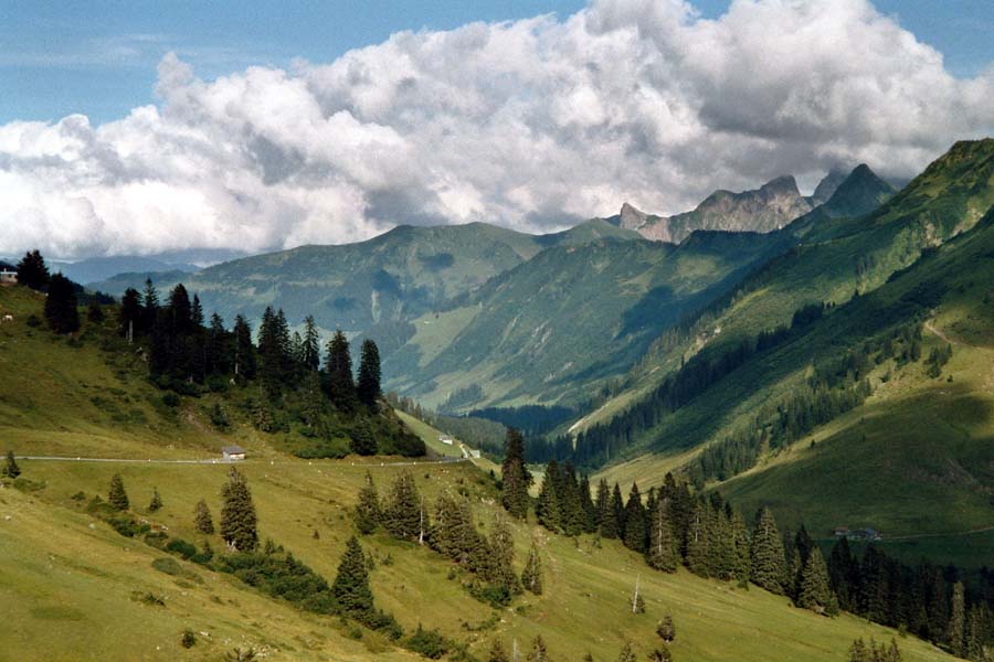 Blick vom Furka-Joch Richtung Damls