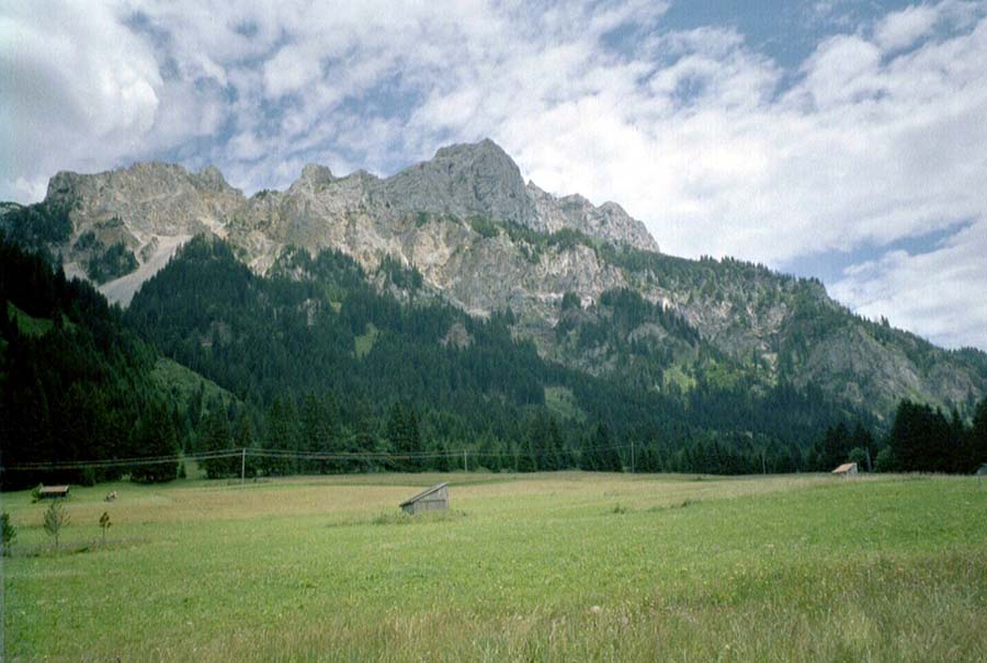 Tannheimer Tal bei Haller