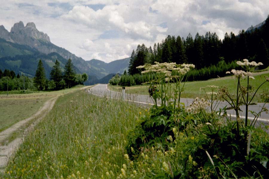 Strasse im Tannheimer Tal