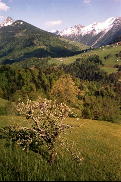 Im groen Walsertal